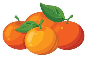 A group of oranges with green leaves on a white background vector