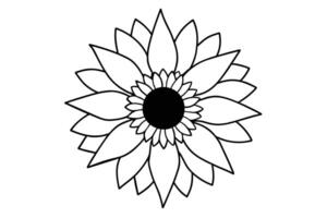A simple line drawing of a sunflower with a black center and pointed petals art vector