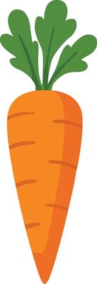 Cartoon Style Carrot Vegetable Illustration