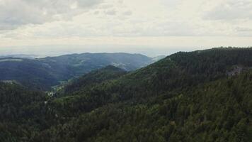 Horizontal panning from a drone, scenic view of a green hilly valley overgrown with a dense spruce forest in the rays of sunlight photo