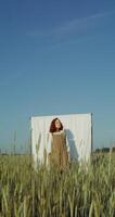 A young red-haired woman of Caucasian appearance poses against a background of a white screen, set among a wheat field, looking into the camera with a serious look. 4k vertical , red komodo photo