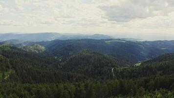Horizontal panning from a drone, scenic view of a green hilly valley overgrown with a dense spruce forest in the rays of sunlight - scenic photo