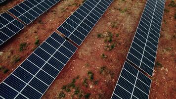 A lot of solar panels lie in straight lines on a land, a bird's-eye view from a drone - panels photo