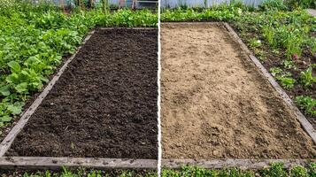 Comparing two soil types in a garden plot before planting in a rural area during spring photo