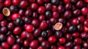 Dense pile of ripe cranberries with some fruits split open revealing seeds photo
