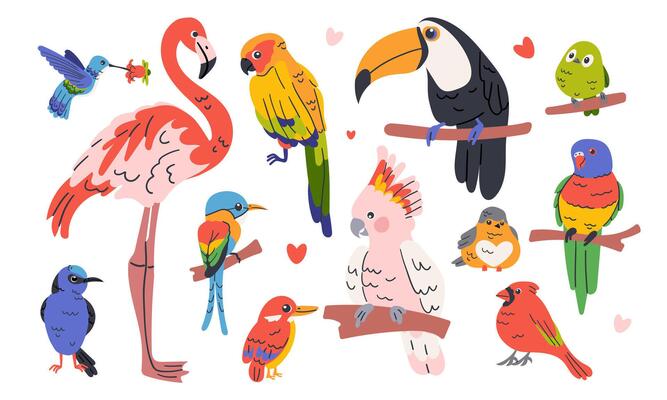 Cartoon collection of beautiful exotic tropical birds macaw, parrot, pink flamingo, toucan, and other exotic birds . On a white background , hand drawn illustration for summer design .