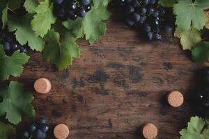 Dark grapes and leaves frame wooden surface with wine corks arranged aesthetically photo