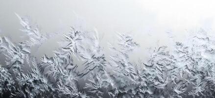 Delicate ice crystals form intricate frost patterns resembling feathered ferns across the cool window photo