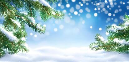 Evergreen branches adorned with snow create a winter background with a blue bokeh effect photo
