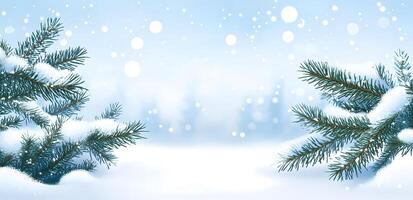 Snow covered fir branches decorate a winter background with falling snow and soft light photo