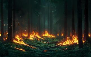 Forest ground ablaze shows intense fire flames between tall pine trees during daytime photo