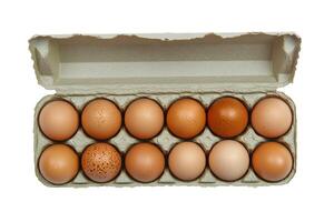 Twelve fresh brown chicken eggs neatly arranged inside an open gray cardboard carton with a white background photo