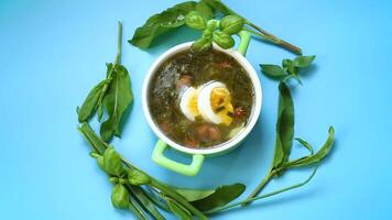 parte superior ver de un plato de verde sopa de remolacha con huevo y Alazán en un azul antecedentes. video