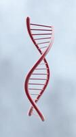 3D illustration of a red DNA double helix structure against a soft blurred background representing genetic science and molecular biology concepts photo