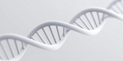 3D illustration of a white DNA double helix structure showcasing intricate details and smooth curves representing genetic information and biological science concepts photo