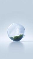 A glass sphere with trees inside photo