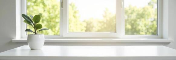 Bright indoor plant on a white windowsill with sunlight streaming through the window creating a serene atmosphere for relaxation and productivity healthy living concept photo