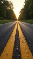 Wet asphalt road leading to sunset through forest photo
