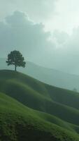 Lone tree standing on rolling green hills under cloudy sky photo