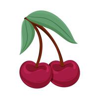 Two plump cherries with a single leaf display vibrant color and freshness. vector