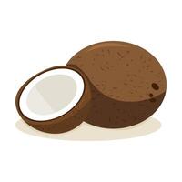 Whole and sliced coconut on a plain background with natural texture vector