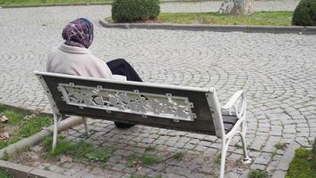 Woman sitting on a bench in a tranquil park setting video