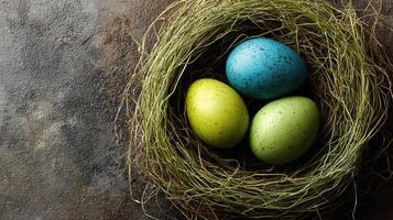 Three colorful easter eggs in a nest on a dark background photo