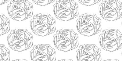 Lively pattern featuring outlined cabbage heads on a crisp white background vector