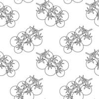 Seamless pattern with branches of cherry tomatoes in doodle style on a white background. vector
