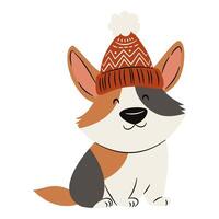Flat illustration in a simple childish style. Cute corgi in winter hat on white background vector