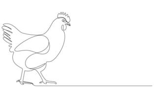 Single-line drawing of a chicken walking vector