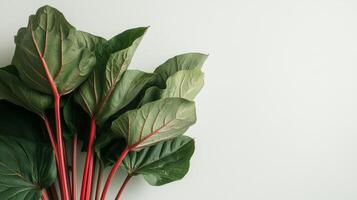 A large plant with green leaves and red stems photo