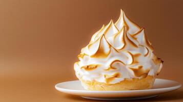 A cupcake with meringue on top on a plate photo