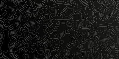 Minimalist Topographic Map Background - Black and White Contour Lines for Data Visualization - Dark Cartography Template with Copy Space vector