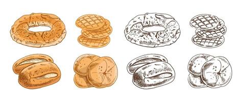 Hand drawn vintage sketch of bakery bread set in color and monochrome versions, isolated illustrations vector
