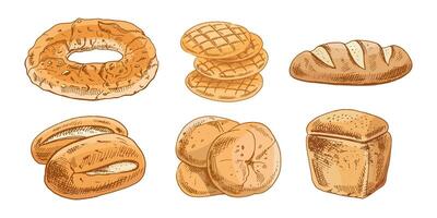 Hand drawn vintage sketch of six assorted types of bread in rustic color ink style, isolated illustration vector
