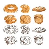 Hand drawn vintage sketch of six types of bread in color and monochrome version, isolated illustration vector
