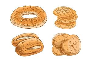 Hand drawn vintage sketch set of assorted bakery breads in brown ink, color version, isolated illustration vector
