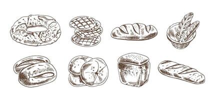 Hand drawn vintage sketch set of different bakery bread in monochrome engraving style, rustic food collection illustration vector