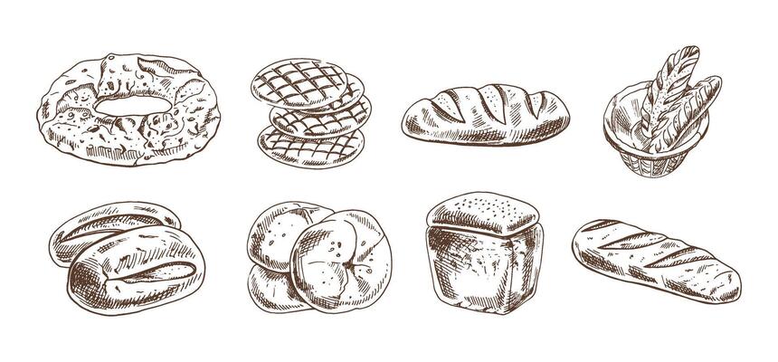 Hand drawn vintage sketch set of different bakery bread in monochrome engraving style, rustic food collection illustration