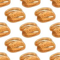 Hand drawn vintage seamless pattern of classic bread rolls with golden crust in color engraving style vector
