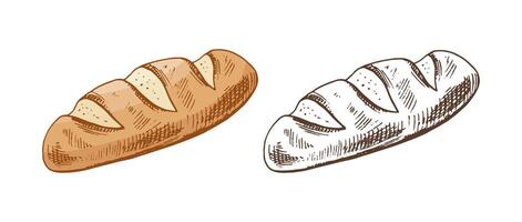 Hand drawn vintage sketch of rustic bread loaf with slashes in color and monochrome version, isolated illustration vector