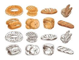 Hand drawn vintage sketch of assorted bread and bakery items in color and monochrome version, engraving style set vector