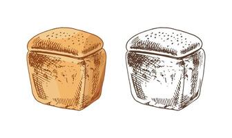 Hand drawn vintage sketch of loaf bread in brown ink, color and monochrome version, isolated illustration vector