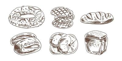 Hand drawn vintage sketch of assorted bread types in monochrome engraving style, bakery food set illustration vector