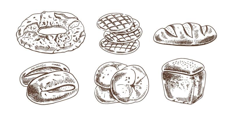 Hand drawn vintage sketch of assorted bread types in monochrome engraving style, bakery food set illustration