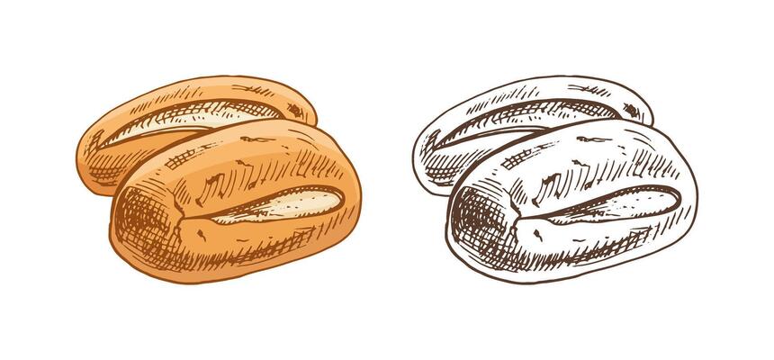 Hand drawn vintage sketch of two bread rolls in brown ink engraving style, isolated illustration set
