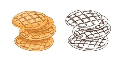 Hand-drawn vintage sketch of stacked flatbreads with grid crust or homemade cookies in brown ink, color and monochrome version vector
