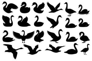 Swan Silhouette Icon Set Flying and Standing Bird Illustrations for Design vector