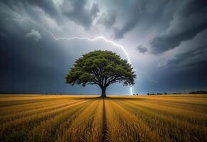 Thunder Bolt Lightning strikes on a Tree in a open field during a dramatic storm with dark clouds, Landscape. photo